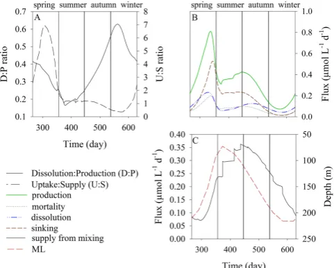 Fig. 7. Evolution of the main ﬂuxes and ratios in the basic model runof production, mortality, dissolution and sedimentation ﬂuxes;and of the Uptake to Supply ratio during the year;(with neither basalt input nor fractionation during biogenic silicadissolution); (A) variation of the ratio of Dissolution to Production (B) evolution (C)evolution of the DSi supply and the ML depth throughout the year.