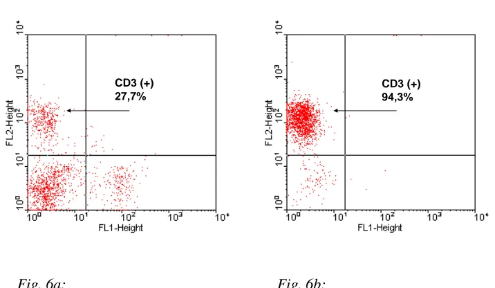 Fig. 6a: