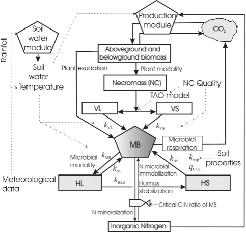 Fig. 1. Flow diagram for the MOMOS model coupled with asoil water module and a production module; MB is the microbialbiomass, VL is the labile necromass (NC), VS is the stable necro-mass (NC); HL is the labile humus, HS is the stable humus; seetable 3 for meaning of the k parameters.
