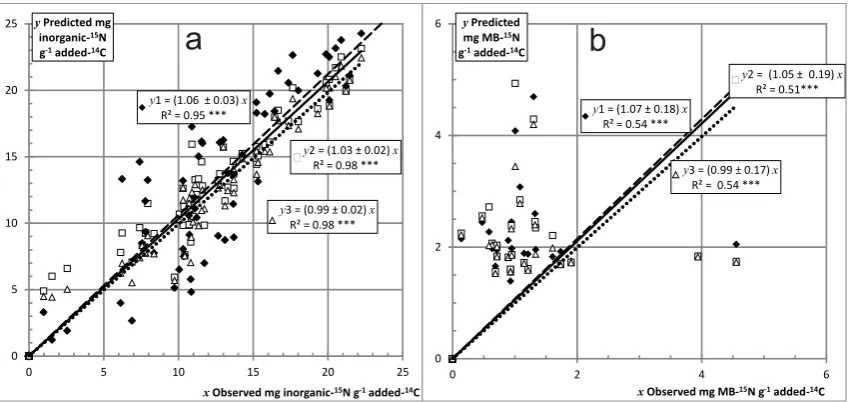 Fig. 2. Model predictions vs. observed values for the whole data set of( (a) inorganic 15N, and (b) MB-15N: (y1) assumption 1 (dashed line),y2) assumption 2 and strategy (a) (solid line), or (y3) assumption 2 and strategy (b) (dotted lines).