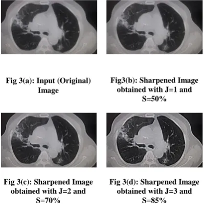 Fig 3(a): Input (Original) Image 