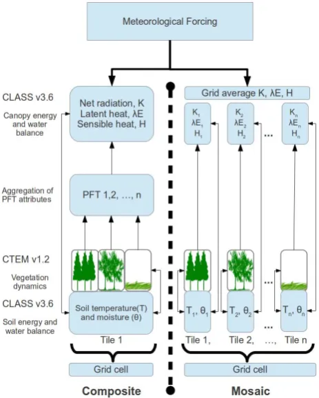Fig. 1. Schematic representation of the composite and mosaic ap-proaches for the coupling of CLASS v 3.6 and CTEM v 1.2 modelsin a stand-alone mode.