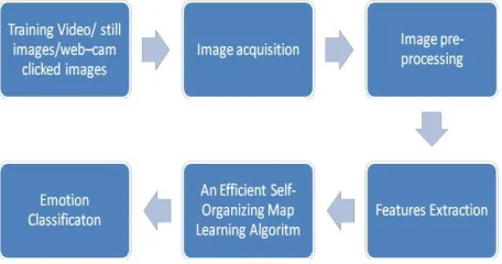 Fig 2: System diagram of the proposed training approach 4.1 Image Acquisition  