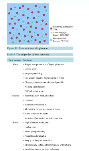 Figure 11. Basic structure of a phantom.                    
