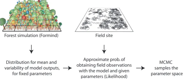 Fig. 2. Illustration of the estimation process: at the top left, a visualization representing the FORMIND model