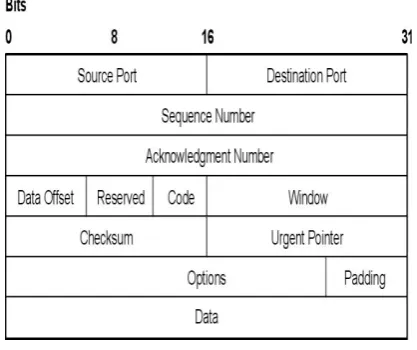 Fig -2:  TCP header format 
