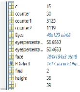 Fig. 10 Command Window 