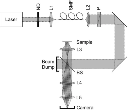 Figure 4.2. Experimental setup. Light from a tunable laser is focused on the photonic-crystal sample via a beam splitter (BS)