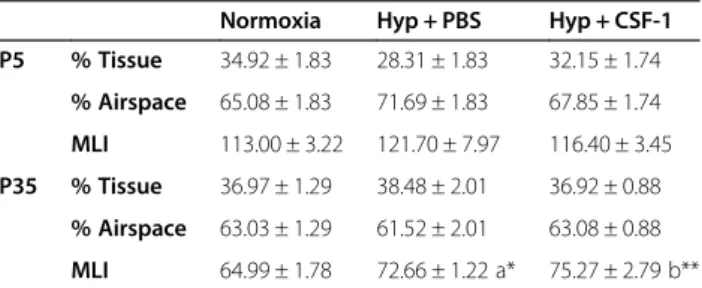 Table 3 Morphometric analysis of lungs from mice administered CSF-1 during concurrent hyperoxia exposure