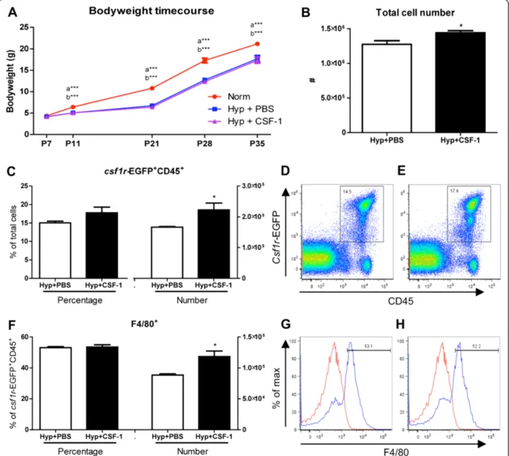 Figure 2 Growth and macrophage analysis of mice treated with CSF-1 following hyperoxia