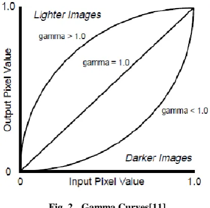 Fig. 2. Gamma Curves[11] 