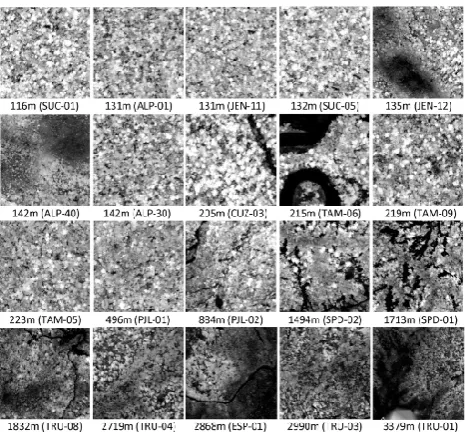 Table 1. Description of 25 ha landscapes mapped and analyzed in the Andes-to-Amazon corridor