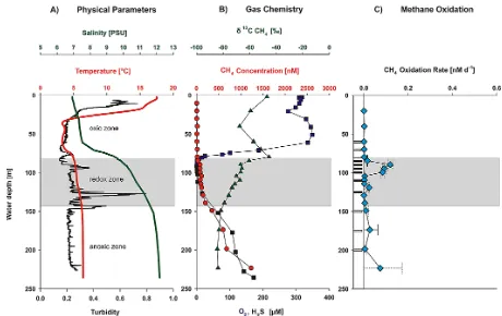 Fig. 2. Gotland Deep. (A) Vertical proﬁles of salinity (green), temperature (red) and turbidity (black); (B) oxygen (blue squares), hydrogensulﬁde (black squares), methane (red circles) and δ13C values of methane (green triangles); (C) methane oxidation ra