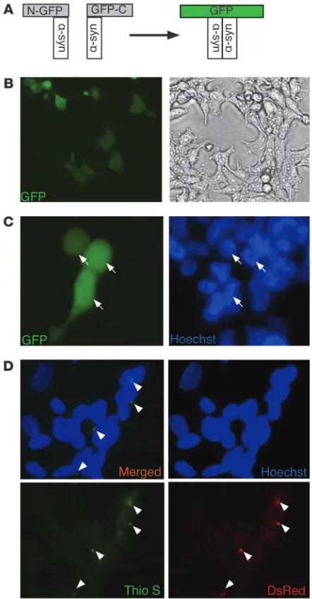 Figure 4Propagated 