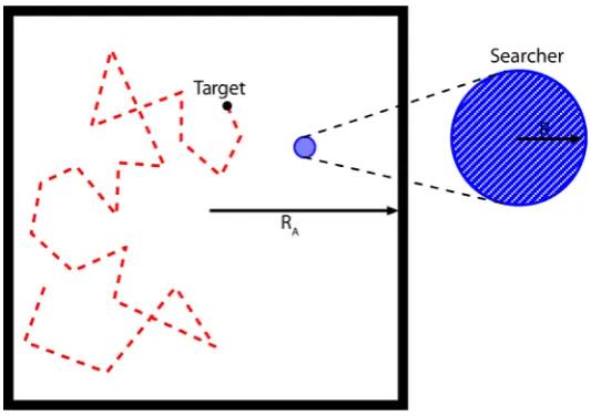 Figure 1. A schematic illustration of a diffusing target in a square search region of half width R  in the presence of a searcher