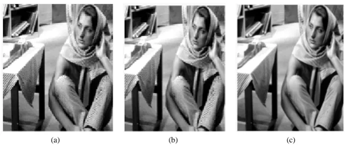Figure 5. (a) Original “Barbara” image; (b) Reconstructed image with (8 × 16) NPR CMFB filter bank; (c) Reconstructed image with (8 × 24) NPR CMFB filter bank