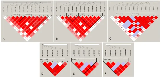 Figure 1. Linkage disequilibrium analysis of the ACYP2/MPHOSPH6 in the Liantian Han, Tibetan and Sherpa
