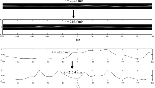 Figure 7: The eﬀects of a secondary, 25 km wavelength seeding of the0.25 km amplitude, 25 km wavelengthmodulation has been imposed on the ﬁgures labeled (a), and the correspondingelectric ﬁelds are shown in panel layer) has run its’ course
