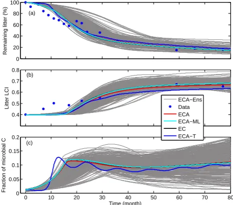 Fig. 11. Posterior simulations from calibrating model S3B3-ECAto the red pine litter decomposition experimental data in Melillo etal