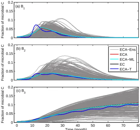 Fig. 13. Simulated time series of microbial abundances from usingthe best-ﬁt parameters (calibrated with S3B3-ECA) in Table 5