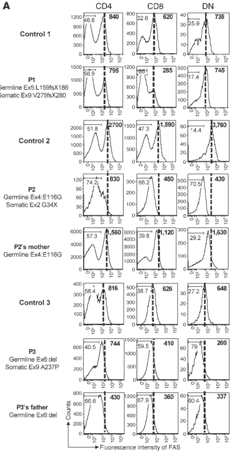 Figure 3Impact of TNFRSF6 mutations on FAS protein expression by lym-phocyte subsets. FAS expression by CD4, CD8, and DN T cells was determined by FACS analysis (A) for patients 1 to 3 carrying a germ-line TNFRSF6 mutation and a somatic TNFRSF6 mutation in