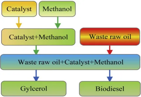 Figure 1 Transesterification Diagram  