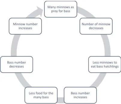 Figure 1. Ecosystem feedback loop of a lake. 