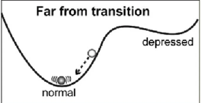 Figure 2. Ball-in-a-cup phenomenon in depression far from the transition (van de Leemput et al.,  2014) 