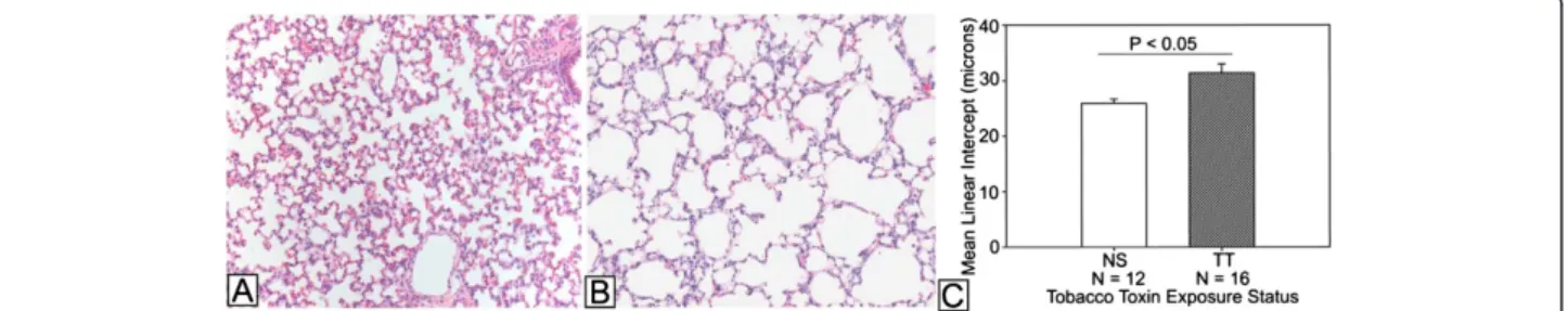 Figure 2 Quantitative PCR analysis of RA pathway components at postnatal day 5 (P5) comparing mice with tobacco toxin exposure during lung development (TT, N = 9) to tobacco naïve (NS, N = 5) mice