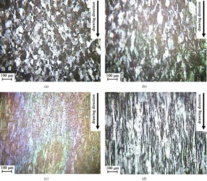 Figure 1. PLM microstructure of AA1070 polycrystalline specimen before cold working.                                          