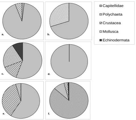 Fig. 6. Annelid family composition in colonization trays on the W.Indian margin. See Table 1 for tray deployment periods and loca-tions.