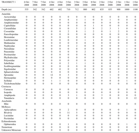 Table 3a. Background macrofaunal densities (no. per 8.3 cm diameter core), transect 1 (see Table 1 for locations).