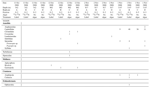 Table 4. Macrofauna colonizing sediment trays deployed on the W. Indian margin.