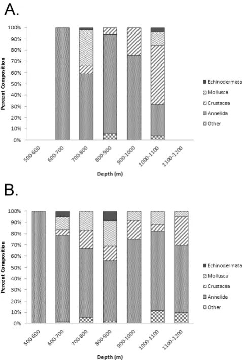 Fig. 3. Metazoan macrofaunal densities in ambient core samples(54 cm2 × 10 cm deep) along two transects across the W
