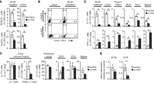 Figure 1Lack of intestinal Th17 cells in αv-tie2 mice. (A) Proportion of ROR-γT+ and FoxP3+ CD4+ cells in LP of control and αv-tie2 mice