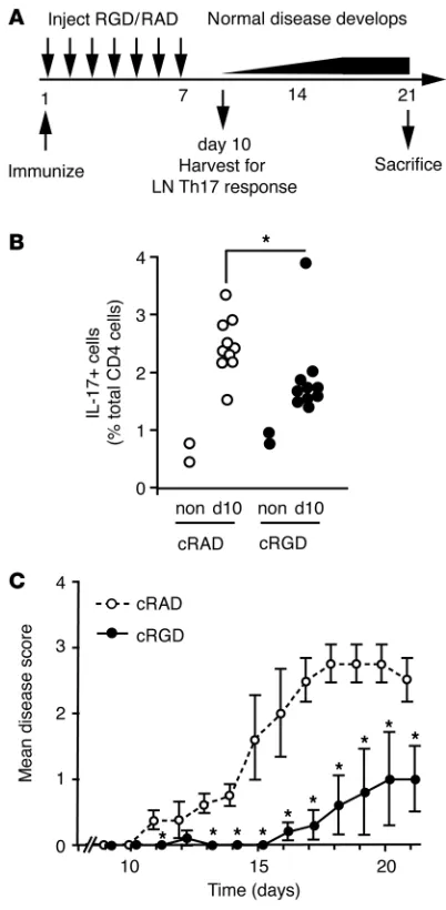 Figure 5v Blockade inhibits Th17 cell differentiation and protects from EAE in 