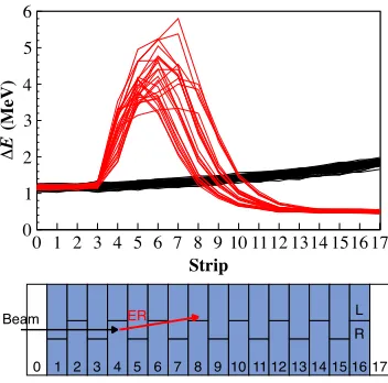 Figure 4:  Experimental traces measured with the MUSIC detector. Black lines correspond to beam particles interacting with the gas target by ionization