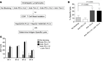 Figure 8Tim-3 blockade enhances antigen-specific CTL killing of hepatocytes. (