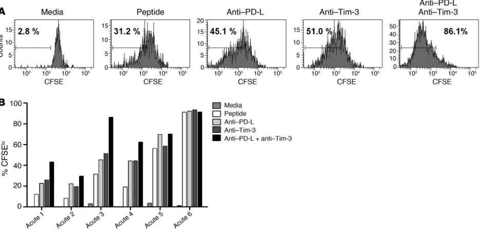 Figure 6Blocking Tim-3 and PD-1 enhances T cell proliferation. PBMCs from 5 acute