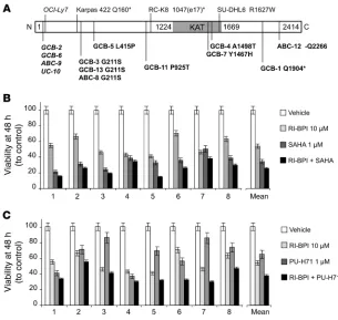 Figure 8EP300 genetic lesions and the impact of combinatorial therapy on primary DLBCL speci-