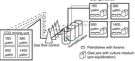 Table 1. Upper part: calculated and measured carbonate chemistry parameters of the eight treatments