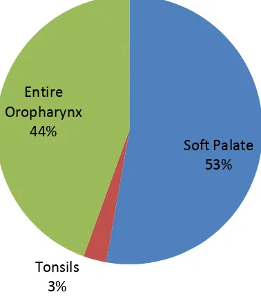 Figure 1. Site of oropharynx affected by the tumor.  