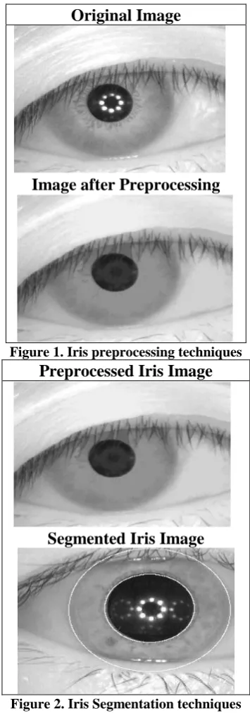 Figure 1. Iris preprocessing techniques  Preprocessed Iris Image 