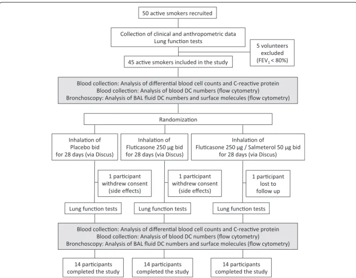 Figure 1 Study flow diagram. Fourty-five smokers were included into the study, based on lung function, smoking history and clinical data.