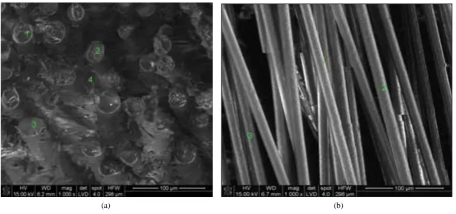 Figure 1. Microstructure of GFRP panel deck: (a) Cross section of composite; (b) Individual fibers of GFRP in polymer matrix.