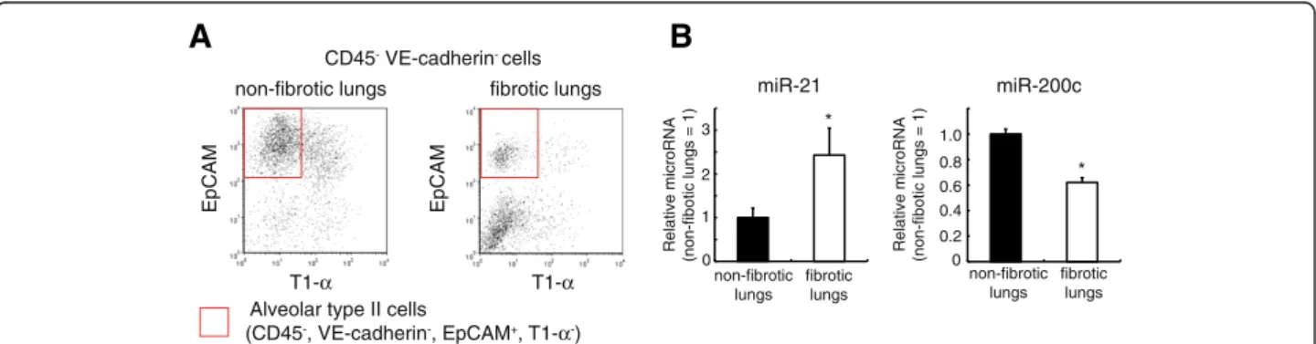 Figure 4 miR-21 is increased in lung alveolar type II cells from idiopathic pulmonary fibrosis (IPF) patients