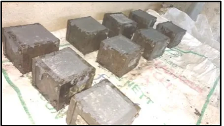 Fig -2: Curing of mortar specimens. 