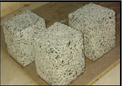 Fig -4: Cube Specimens after 7 days acid immersion      