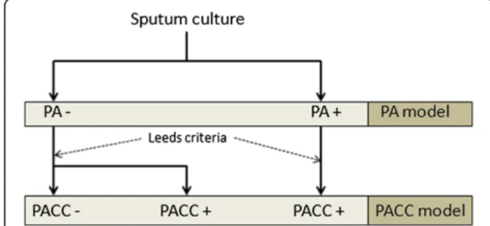 Figure 1 Volatile analysis flow-chart. Sputum culture was first analyzed for the presence of P