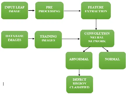 Figure 1: Work Flow Diagram 